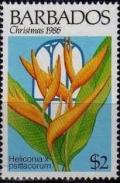 Colnect-1109-937-Heliconia-psitacorum.jpg