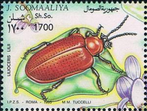 Colnect-5145-798-Lilioceris-lilii.jpg