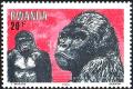 Colnect-2614-272-Mountain-Gorilla-Gorilla-beringei-beringei.jpg