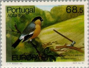 Colnect-186-223-Azores-Bullfinch-Pyrrhula-murina.jpg