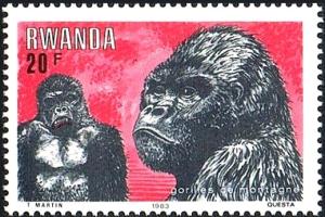 Colnect-2614-272-Mountain-Gorilla-Gorilla-beringei-beringei.jpg