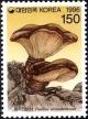 Colnect-2537-544-Paxillus-atrotomentosus.jpg