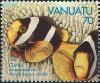 Colnect-1239-691-Yellowtail-Clownfish-Amphiprion-clarkii.jpg