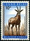 Colnect-4439-938-Roan-Antelope-Hippotragus-equinus.jpg