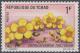Colnect-1415-207-Cochlospermum-tinctorium.jpg