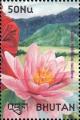 Colnect-3395-643-Sacred-Lotus-Nelumbo-nucifera-.jpg