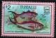 Colnect-6165-655-Longtail-Snapper.jpg