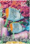 Colnect-2734-823-Seychelles-Butterflyfish-Chaetodon-madagaskariensis.jpg