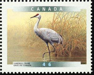 Colnect-1546-249-Sandhill-Crane-Grus-canadensis.jpg
