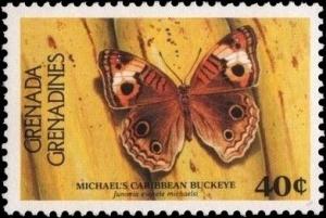 Colnect-2236-517-Michael--s-caribbean-buckeye.jpg