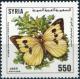Colnect-2194-769-Small-White-Pieris-rapae.jpg