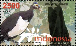 Colnect-1587-539-Maleo-Macrocephalon-maleo-Indonesean-Ebony-Diospyrus-cel.jpg
