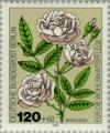 Colnect-155-509-Miniature-rose.jpg