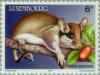 Colnect-134-666-Garden-Dormouse-Eliomys-quercinus-.jpg