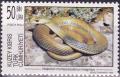 Colnect-4014-908-Malpolon-Monspessulanus-Insignitus.jpg