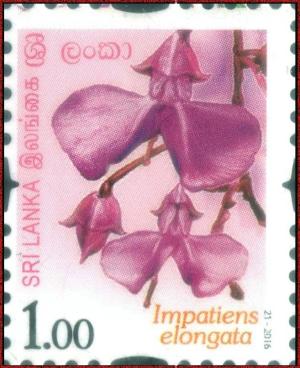 Colnect-3588-515-Impatiens-elongata.jpg
