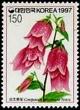 Colnect-2511-006-Campanula-takesimana.jpg