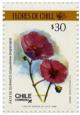 Colnect-661-837-Calandrinia-longiscapa.jpg