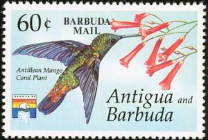 Colnect-3433-477-Antillean-Mango-Anthracothorax-dominicus.jpg