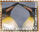 Colnect-1572-794-Emperor-Penguin-Aptenodytes-forsteri.jpg