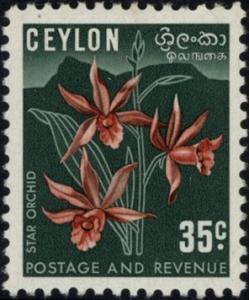 Colnect-1429-935-Phaius-tankervilleae---Star-Orchid.jpg