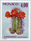 Colnect-148-419-Echinocereus-marksianus.jpg