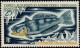 Colnect-885-983-Rockcod-Notothenia-macrocephala.jpg