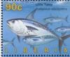 Colnect-4242-471-Little-Tunny-Euthynnus-alletteratus.jpg