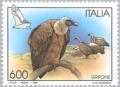 Colnect-179-489-Griffon-Vulture-Gyps-fulvus.jpg