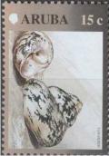 Colnect-1997-535-West-Indian-Top-Shell-Cittarium-pica.jpg