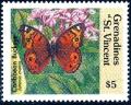 Colnect-2549-542-West-Indian-Buckeye-Junonia-evarete.jpg