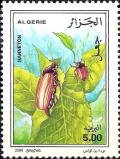 Colnect-5878-186-Hanneton-Melolontha-melolontha.jpg