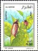 Colnect-5878-186-Hanneton-Melolontha-melolontha.jpg