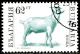 Colnect-1429-487-Goat-Capra-hircus.jpg