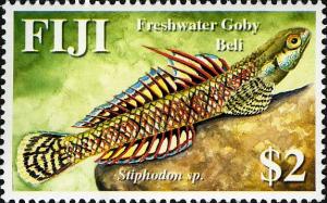 Colnect-746-670-Goby-Stiphodon-sp.jpg