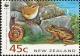 Colnect-2131-615-Giant-Snail-Rock-Wren-Xenicus-gilviventris.jpg