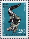 Colnect-3665-204-Crocodile-Crocodylus-sp-.jpg