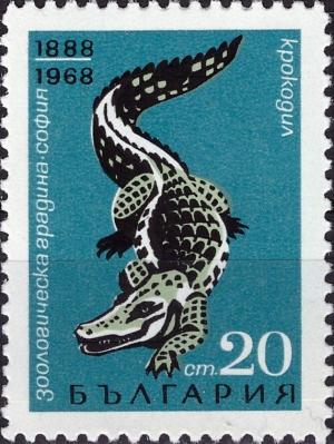 Colnect-3665-204-Crocodile-Crocodylus-sp-.jpg