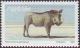Colnect-2367-604-Desert-Warthog-Phacochoerus-aethiopicus.jpg