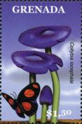 Colnect-3073-692-Collybia-iocephala.jpg