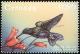 Colnect-4592-811-Sparkling-Violetear----Colibri-coruscans.jpg