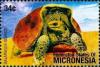 Colnect-5626-967-Chelonoidis-elephantopus.jpg