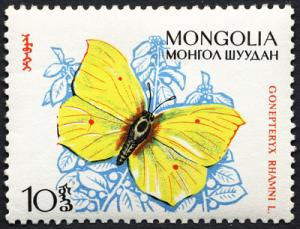 Colnect-870-666-Brimstone-Gonepteryx-rhamni.jpg