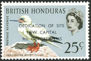Colnect-1597-883-Red-footed-Booby-Sula-sula---Overprinted.jpg