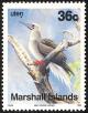Colnect-1599-516-Red-footed-Booby-Sula-sula.jpg