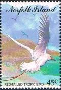 Colnect-2440-969-Red-tailed-tropic-bird-Phaethon-rubricauda.jpg