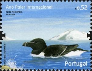 Colnect-586-314-Razorbill-Alca-torda.jpg