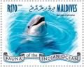 Colnect-4291-051-Common-Bottlenose-Dolphin-Tursiops-truncatus.jpg