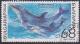 Colnect-4534-471-Common-Bottlenose-Dolphin-Tursiops-truncatus.jpg