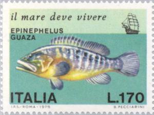 Colnect-174-108-Dusky-Grouper-Epinephelus-guaza.jpg